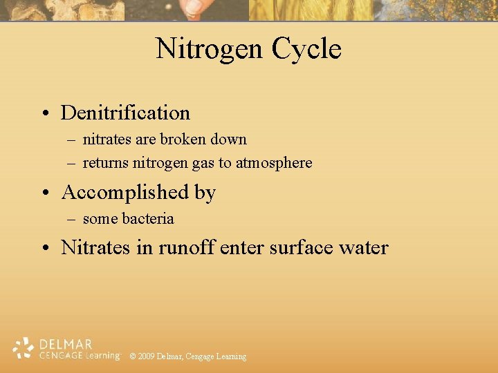 Nitrogen Cycle • Denitrification – nitrates are broken down – returns nitrogen gas to