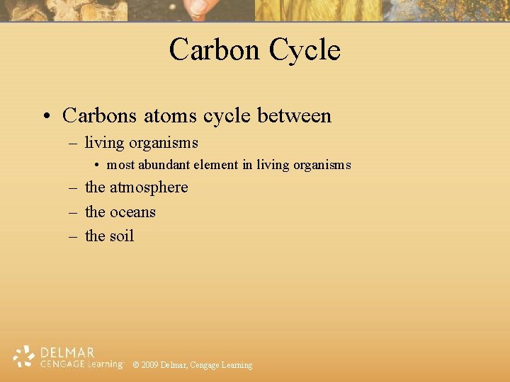 Carbon Cycle • Carbons atoms cycle between – living organisms • most abundant element