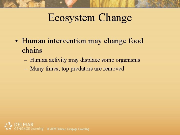 Ecosystem Change • Human intervention may change food chains – Human activity may displace
