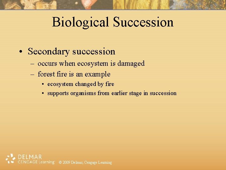 Biological Succession • Secondary succession – occurs when ecosystem is damaged – forest fire