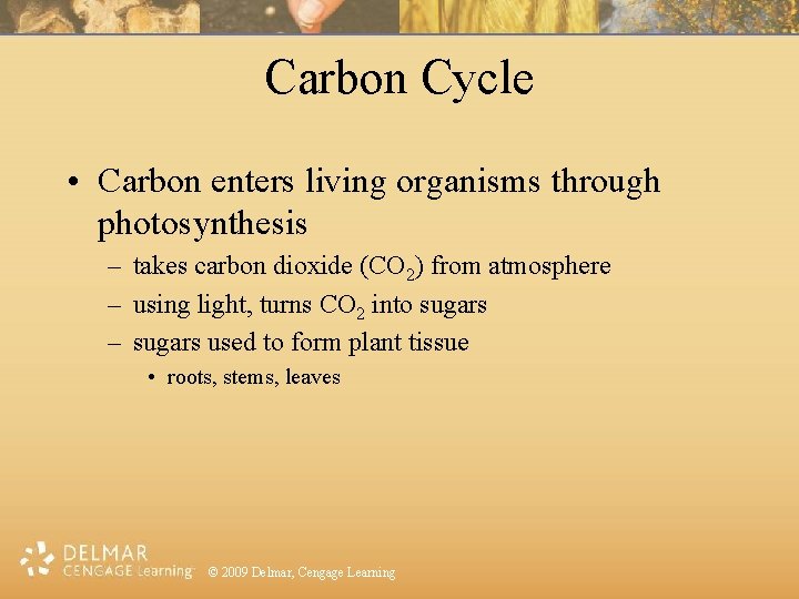 Carbon Cycle • Carbon enters living organisms through photosynthesis – takes carbon dioxide (CO