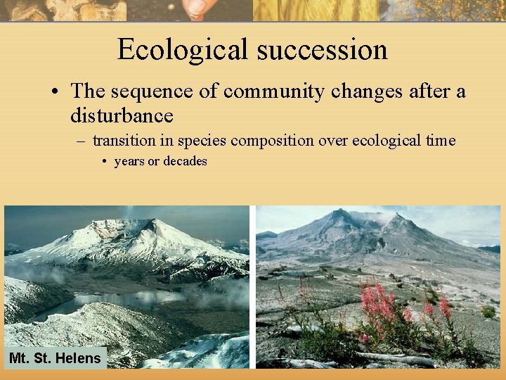 Ecological succession • The sequence of community changes after a disturbance – transition in