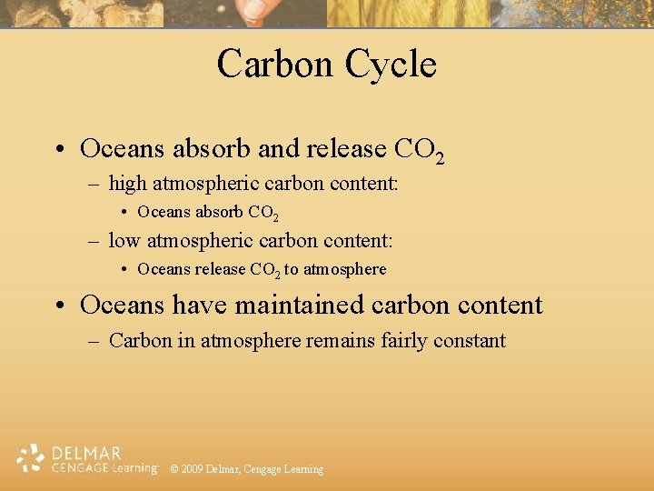 Carbon Cycle • Oceans absorb and release CO 2 – high atmospheric carbon content: