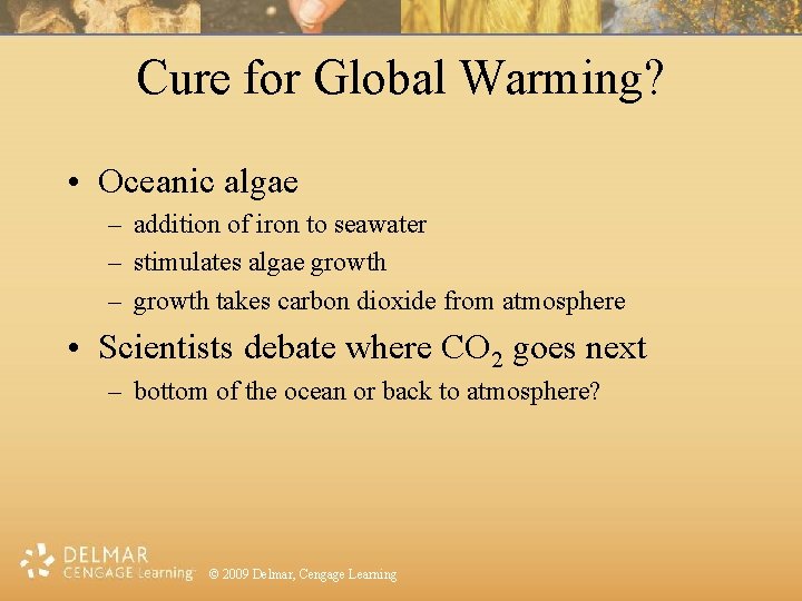 Cure for Global Warming? • Oceanic algae – addition of iron to seawater –