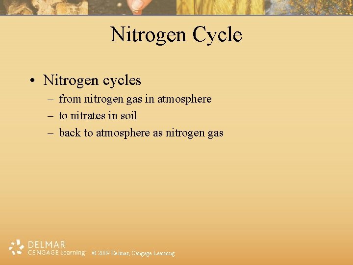 Nitrogen Cycle • Nitrogen cycles – from nitrogen gas in atmosphere – to nitrates
