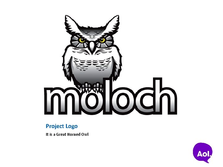 Project Logo It is a Great Horned Owl 