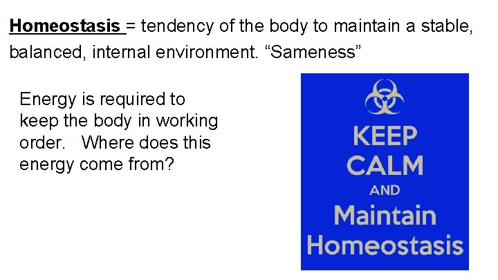 Homeostasis = tendency of the body to maintain a stable, balanced, internal environment. “Sameness” Homeostasis = tendency of the body to maintain a stable, balanced, internal environment. “Sameness”
