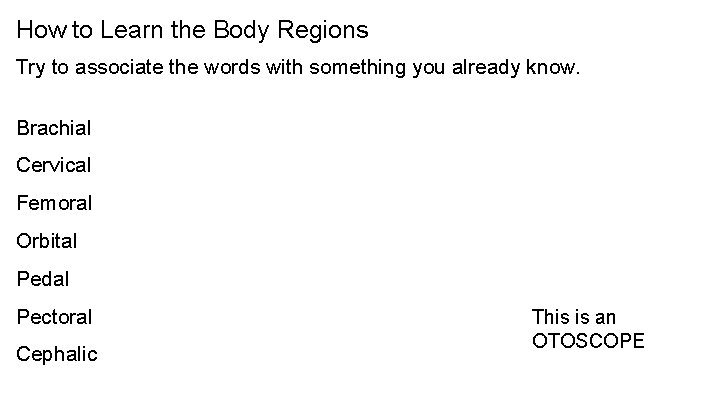 How to Learn the Body Regions Try to associate the words with something you How to Learn the Body Regions Try to associate the words with something you