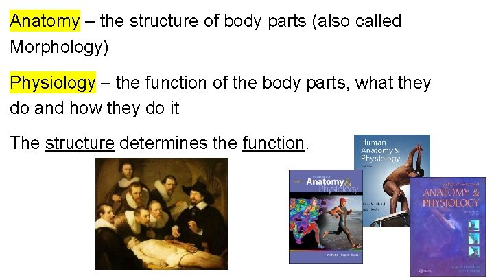 Anatomy – the structure of body parts (also called Morphology) Physiology – the function Anatomy – the structure of body parts (also called Morphology) Physiology – the function