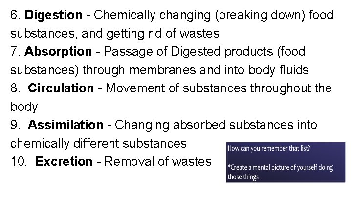 6. Digestion - Chemically changing (breaking down) food substances, and getting rid of wastes 6. Digestion - Chemically changing (breaking down) food substances, and getting rid of wastes