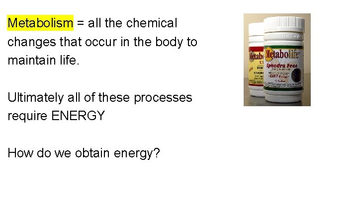 Metabolism = all the chemical changes that occur in the body to maintain life. Metabolism = all the chemical changes that occur in the body to maintain life.