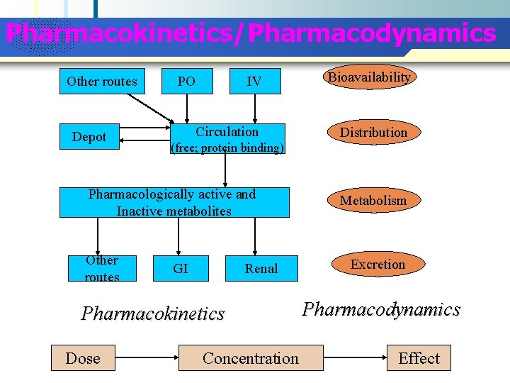 Company Logo Pharmacokinetics/Pharmacodynamics Other routes Depot IV Bioavailability Circulation Distribution PO (free; protein binding)
