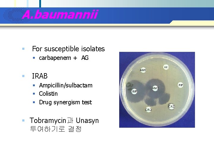 A. baumannii § For susceptible isolates § carbapenem + AG § IRAB § Ampicillin/sulbactam