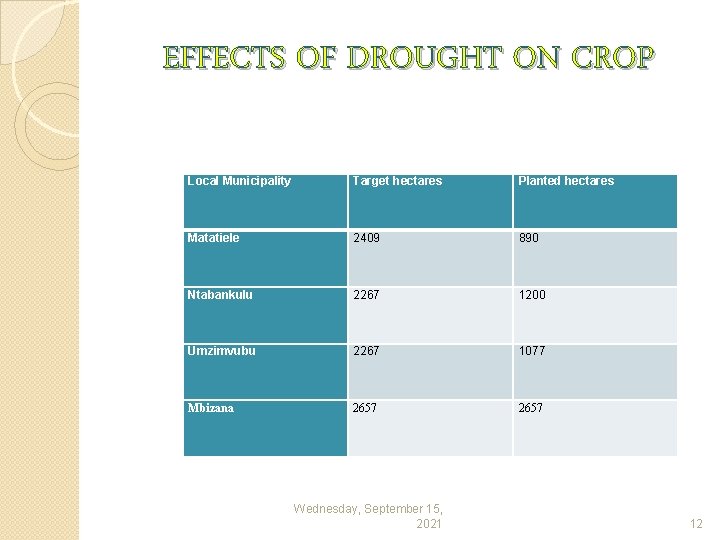 EFFECTS OF DROUGHT ON CROP Local Municipality Target hectares Planted hectares Matatiele 2409 890