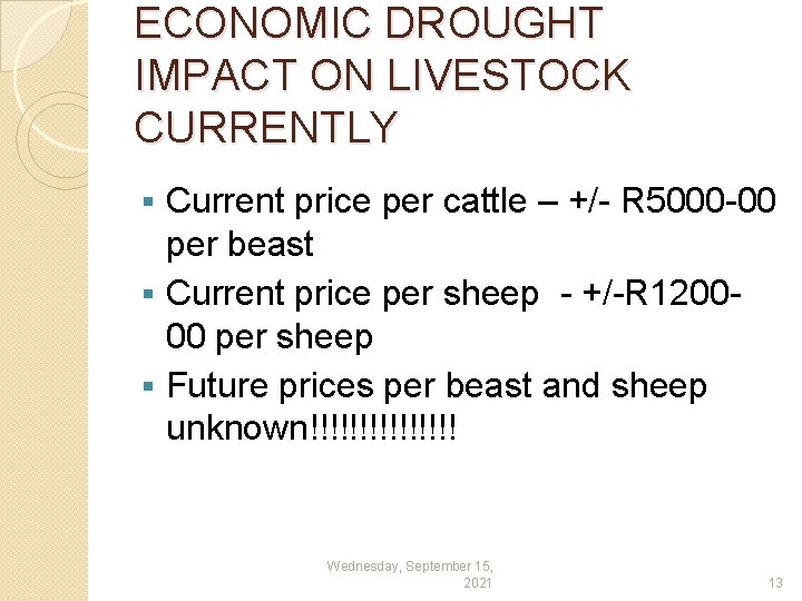 ECONOMIC DROUGHT IMPACT ON LIVESTOCK CURRENTLY Current price per cattle – +/- R 5000