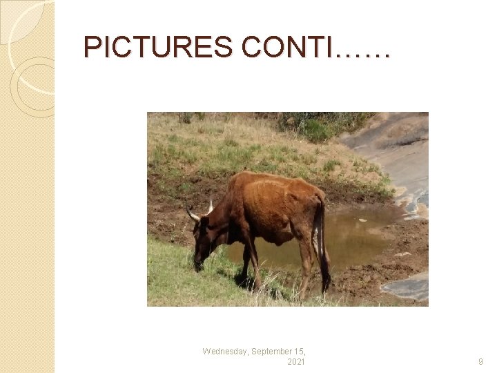 PICTURES CONTI…… Wednesday, September 15, 2021 9 