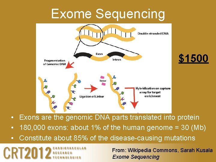 Exome Sequencing $1500 • Exons are the genomic DNA parts translated into protein •