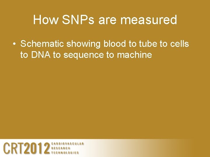How SNPs are measured • Schematic showing blood to tube to cells to DNA