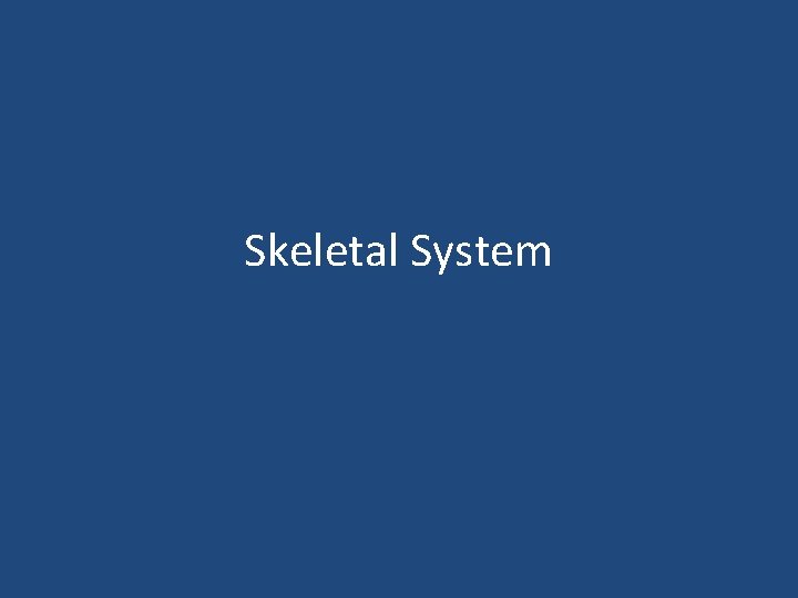 Skeletal System 