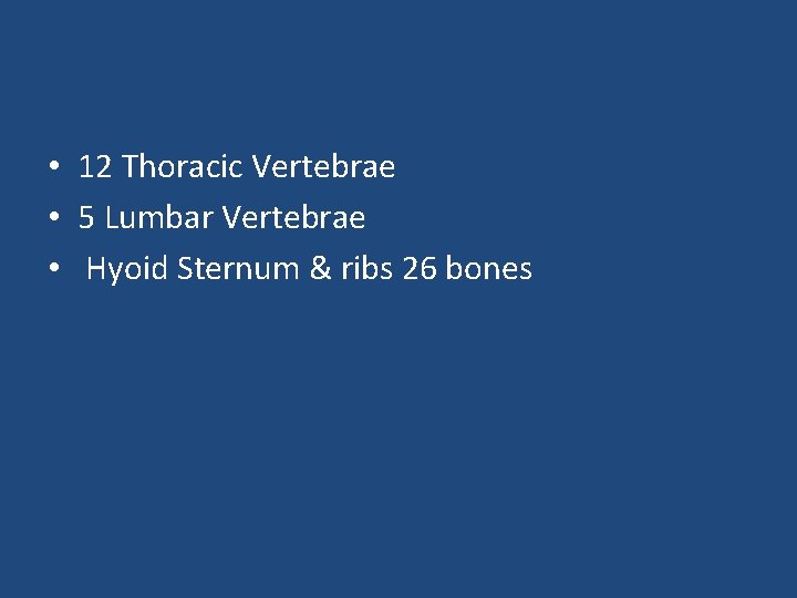  • 12 Thoracic Vertebrae • 5 Lumbar Vertebrae • Hyoid Sternum & ribs