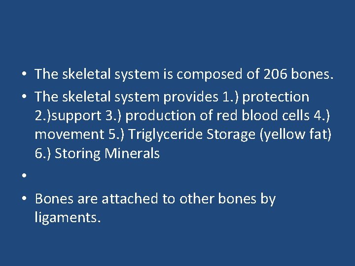  • The skeletal system is composed of 206 bones. • The skeletal system