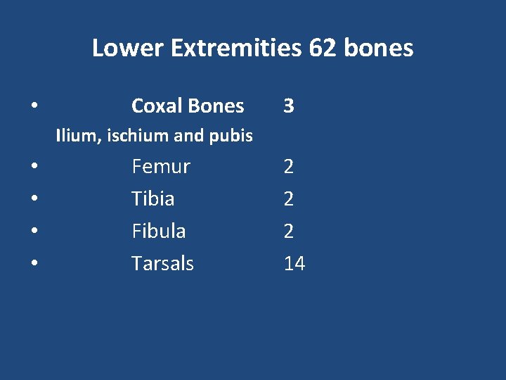 Lower Extremities 62 bones • Coxal Bones 3 Ilium, ischium and pubis • •