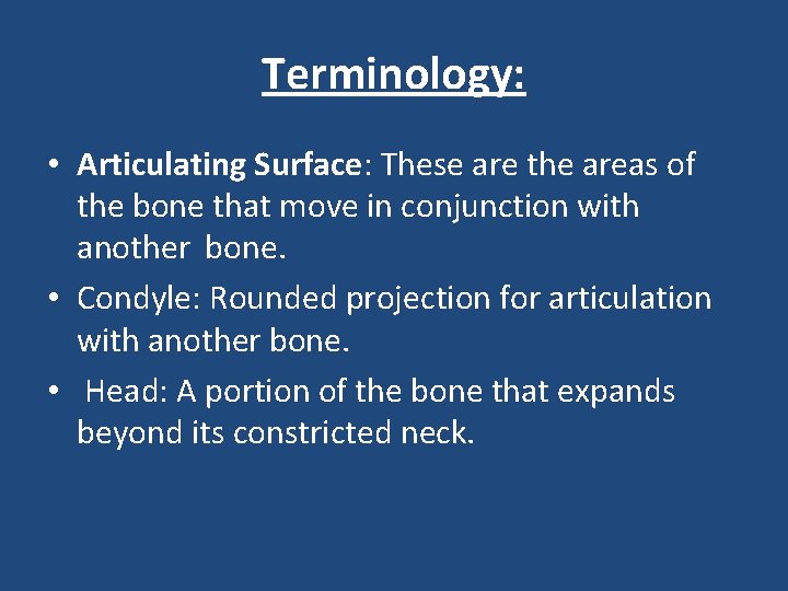Terminology: • Articulating Surface: These are the areas of the bone that move in