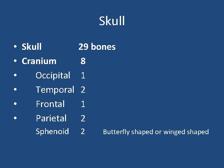 Skull • Cranium • Occipital • Temporal • Frontal • Parietal Sphenoid 29 bones