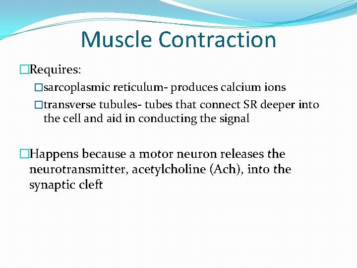 Muscle Contraction �Requires: �sarcoplasmic reticulum- produces calcium ions �transverse tubules- tubes that connect SR