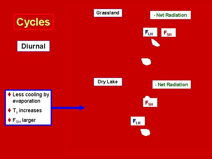 Grassland - Net Radiation Cycles FLH FSH Diurnal Dry Lake - Net Radiation t