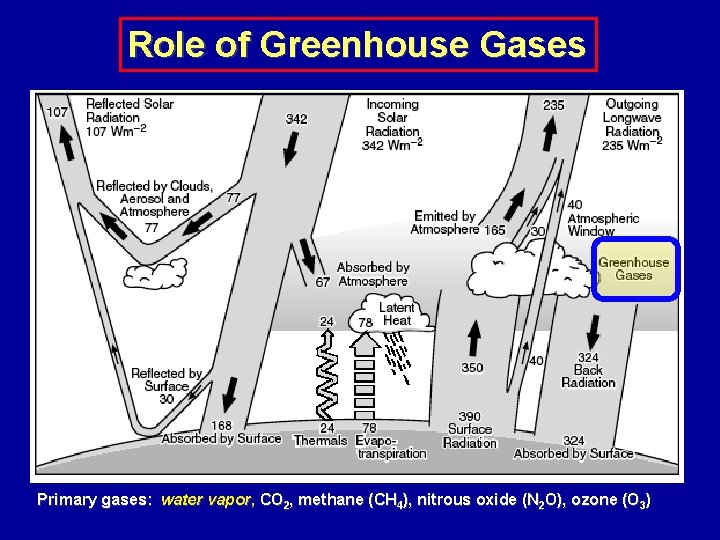 Role of Greenhouse Gases Primary gases: water vapor, CO 2, methane (CH 4), nitrous