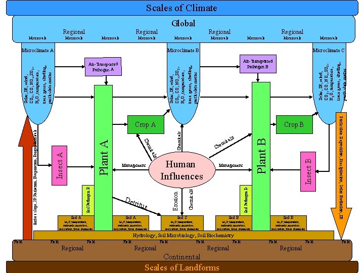 Scales of Climate Global Regional Microscale Microscale Microclimate B Plant B Soil Pathogen D