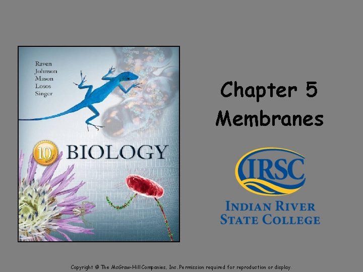 Chapter 5 Membranes Copyright © The Mc. Graw-Hill Companies, Inc. Permission required for reproduction