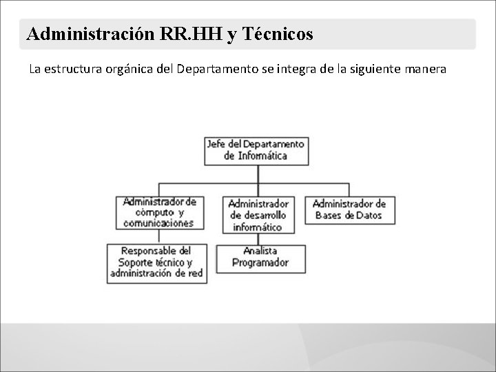 Administración RR. HH y Técnicos La estructura orgánica del Departamento se integra de la