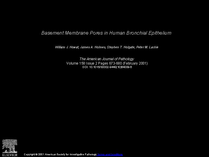 Basement Membrane Pores in Human Bronchial Epithelium William J. Howat, James A. Holmes, Stephen