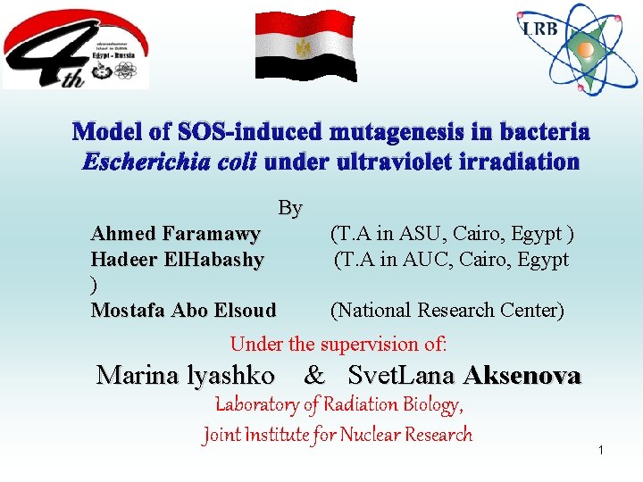 Model of SOS-induced mutagenesis in bacteria Escherichia coli under ultraviolet irradiation By Ahmed Faramawy