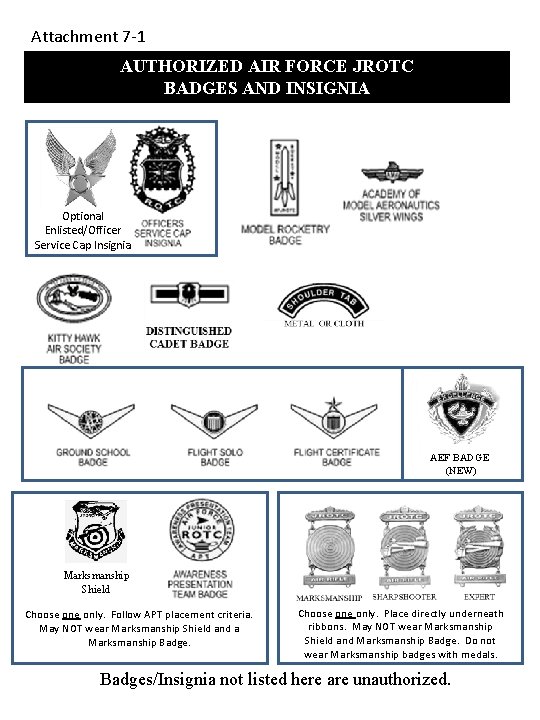 Attachment 7 -1 AUTHORIZED AIR FORCE JROTC BADGES AND INSIGNIA Optional Enlisted/Officer Service Cap