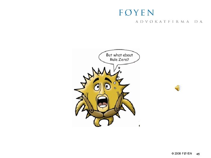 © 2008 FØYEN 45 