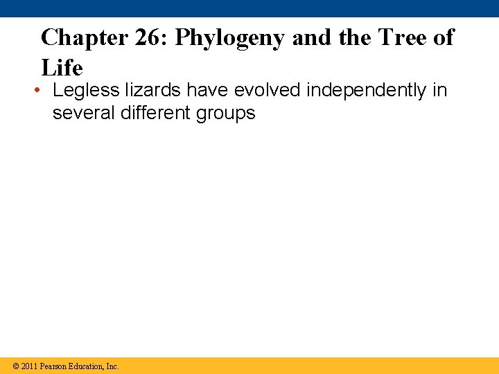 Chapter 26: Phylogeny and the Tree of Life • Legless lizards have evolved independently