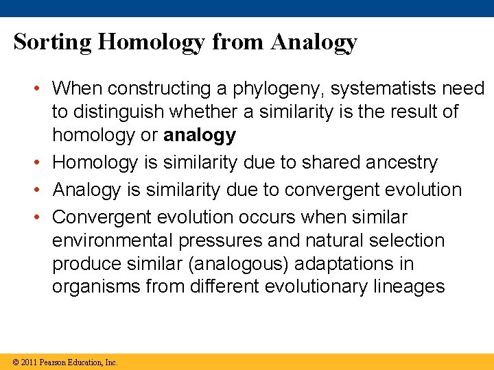 Sorting Homology from Analogy • When constructing a phylogeny, systematists need to distinguish whether