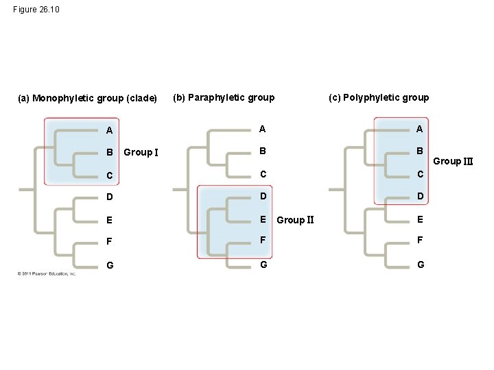 Figure 26. 10 (a) Monophyletic group (clade) (b) Paraphyletic group (c) Polyphyletic group A