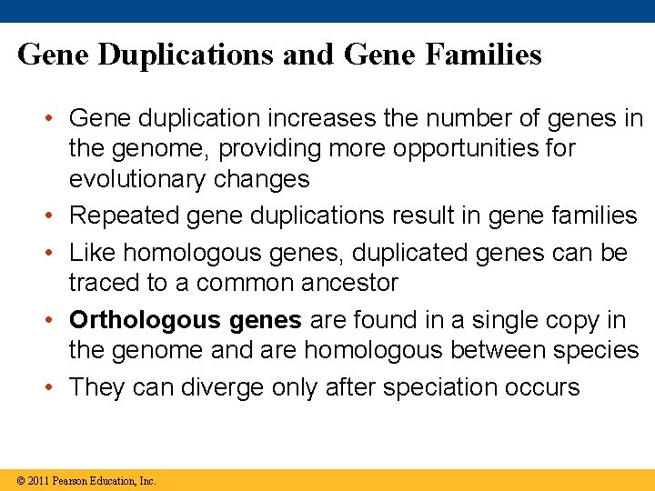 Gene Duplications and Gene Families • Gene duplication increases the number of genes in