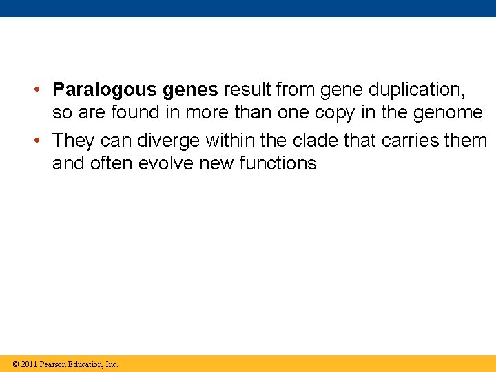  • Paralogous genes result from gene duplication, so are found in more than