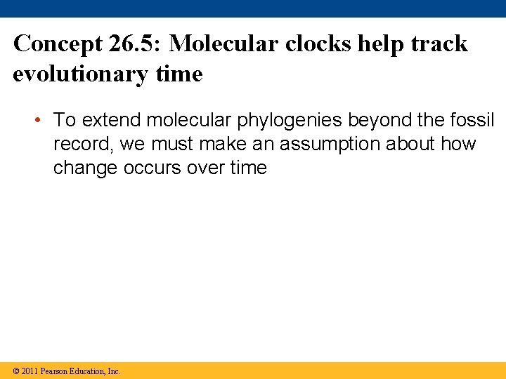 Concept 26. 5: Molecular clocks help track evolutionary time • To extend molecular phylogenies