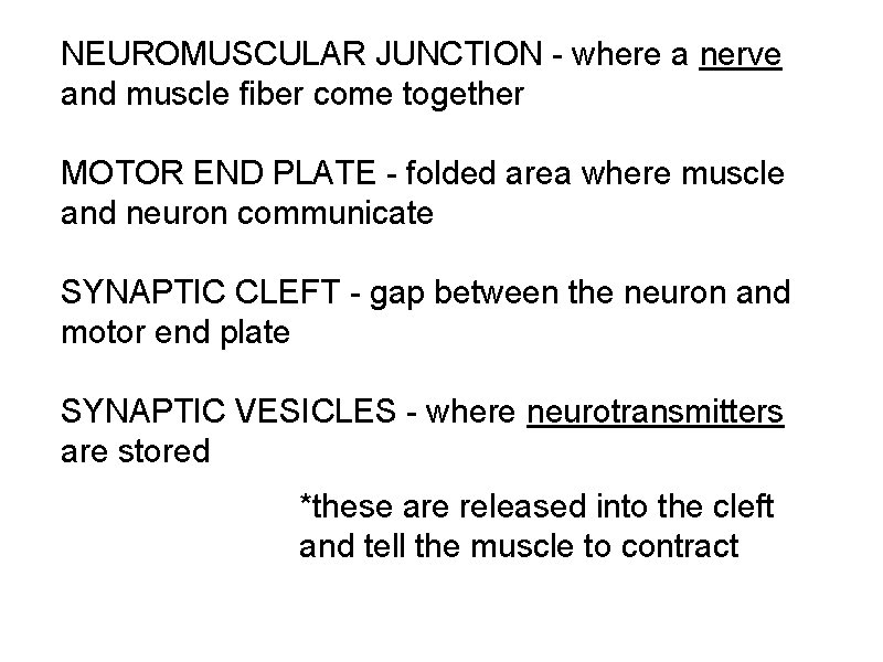 NEUROMUSCULAR JUNCTION - where a nerve and muscle fiber come together MOTOR END PLATE