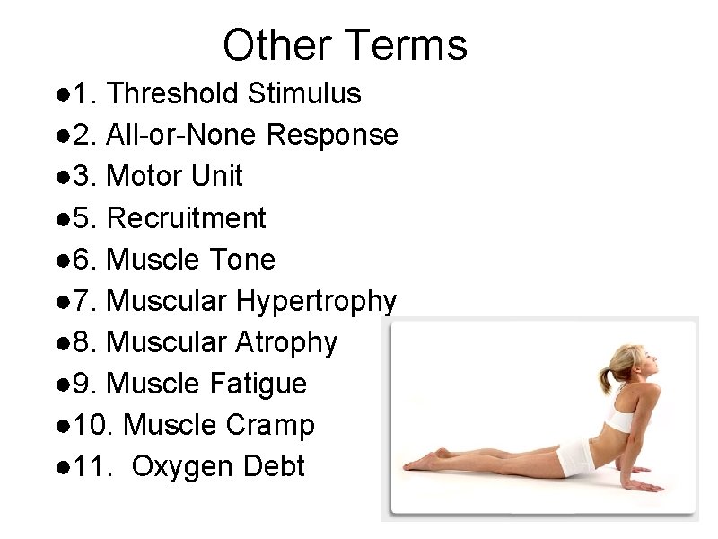 Other Terms ● 1. Threshold Stimulus ● 2. All-or-None Response ● 3. Motor Unit