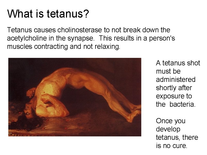 What is tetanus? Tetanus causes cholinosterase to not break down the acetylcholine in the