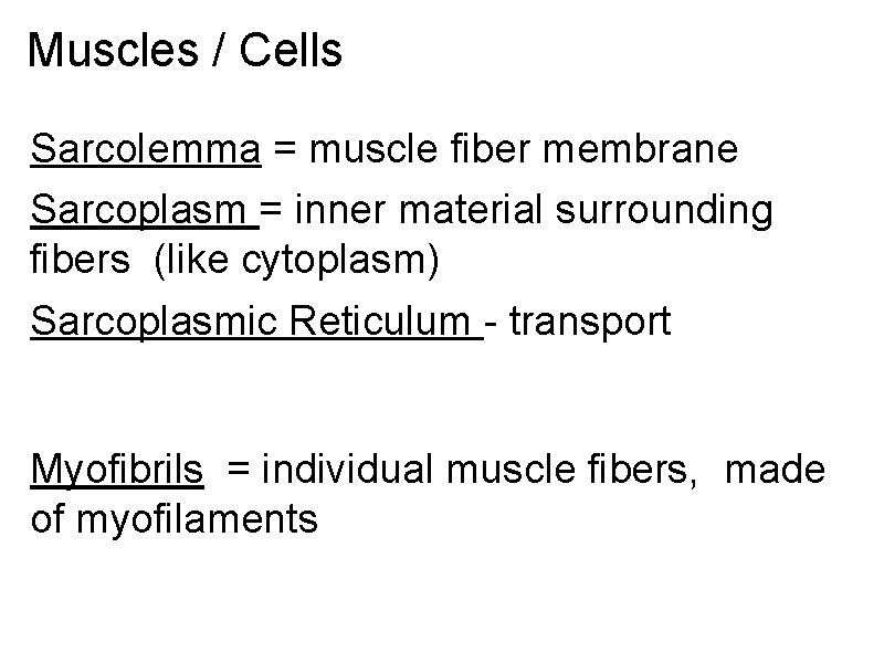 Muscles / Cells Sarcolemma = muscle fiber membrane Sarcoplasm = inner material surrounding fibers