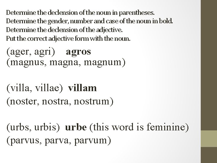 Determine the declension of the noun in parentheses. Determine the gender, number and case