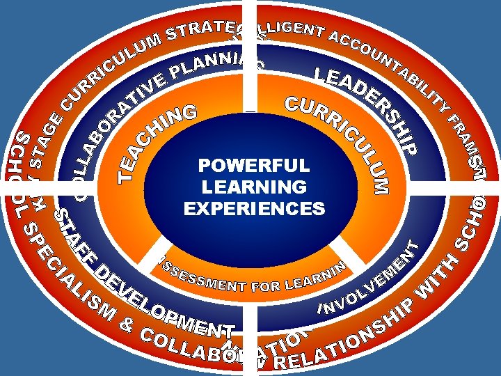 POWERFUL LEARNING EXPERIENCES POWERFUL LEARNING EXPERIENCES
